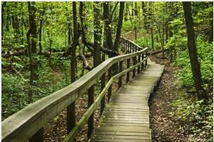 Obituary of Richard Carlyle Armstrong