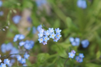 Obituary of Nadine Ann Burkhart