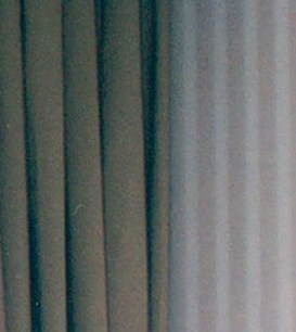 Carol Case Obituary Staten Island, NY