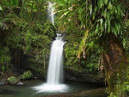 Obituary of Roberto Rodríguez Torres