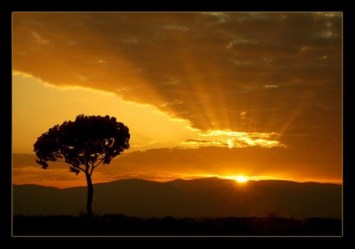 Obituary of Peter W Anderson