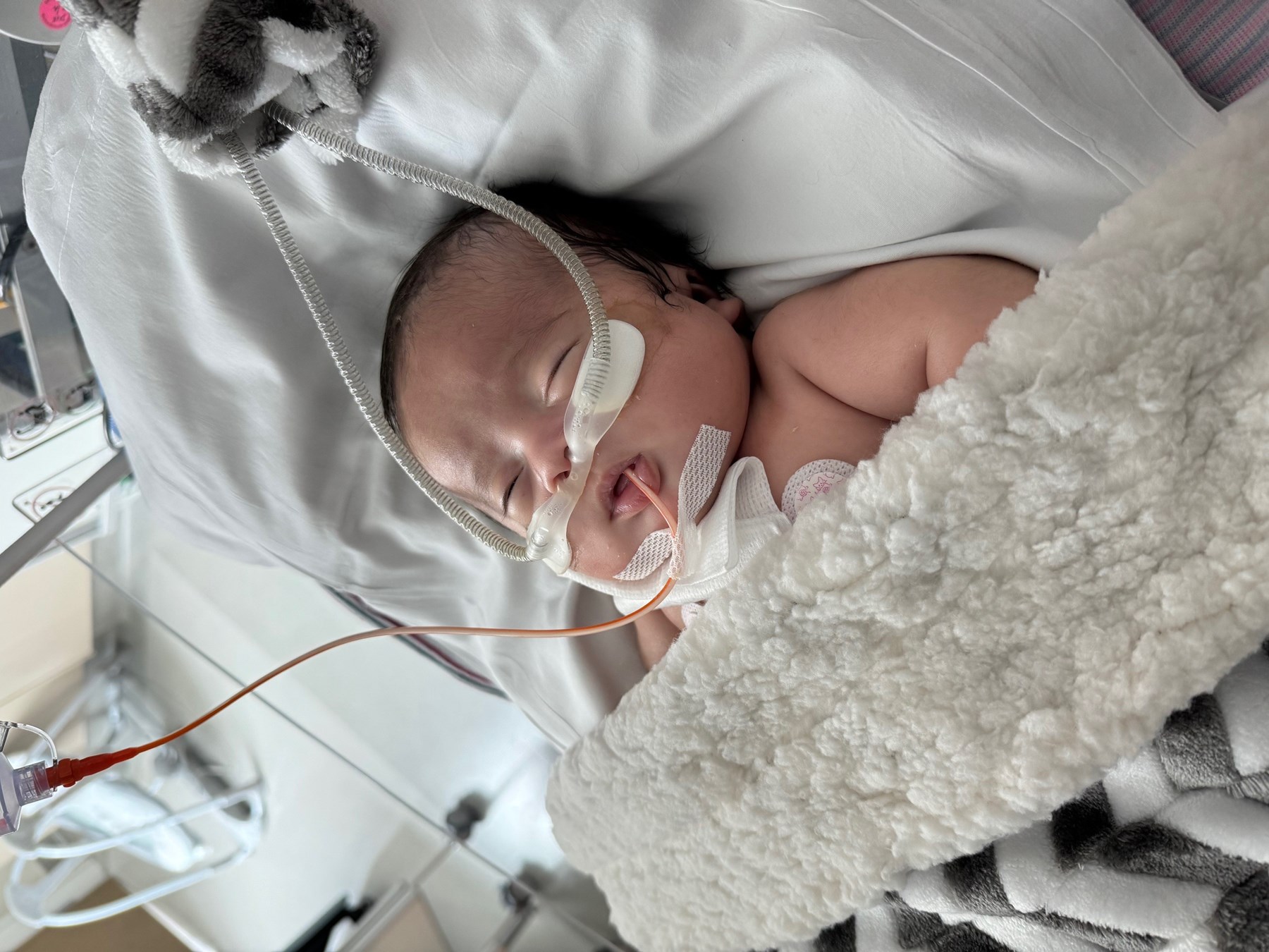 Obituary of Gael Mateo Reyes Rodriguez