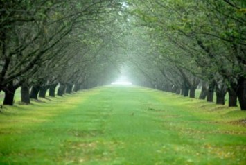 Obituary of Steven Gregory Webb