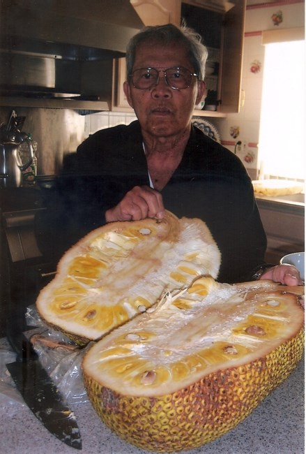 Obituary of Josue Villanueva Banaag