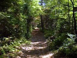 Obituary of Michael Gregory Baba