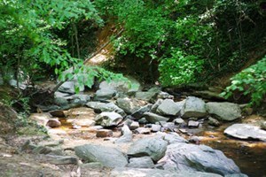 Avis de décès de David Francis Layton