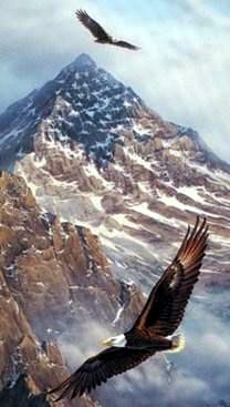 Obituary of Richard P Stack