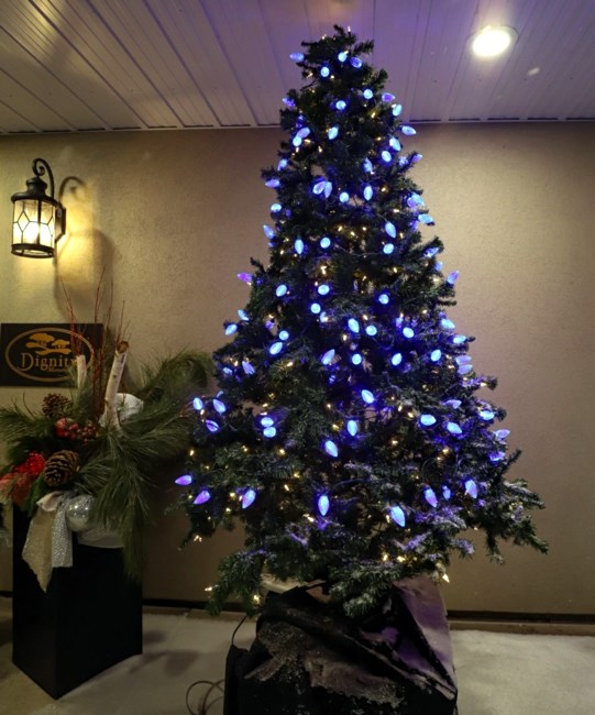 Obituary of Tree Lighting Ceremony