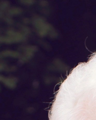 Frances Virginia Jones Obituary Pompano Beach, FL