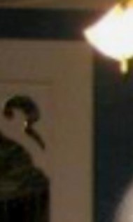 Elizabeth McLaurin Obituary Clayton, NC