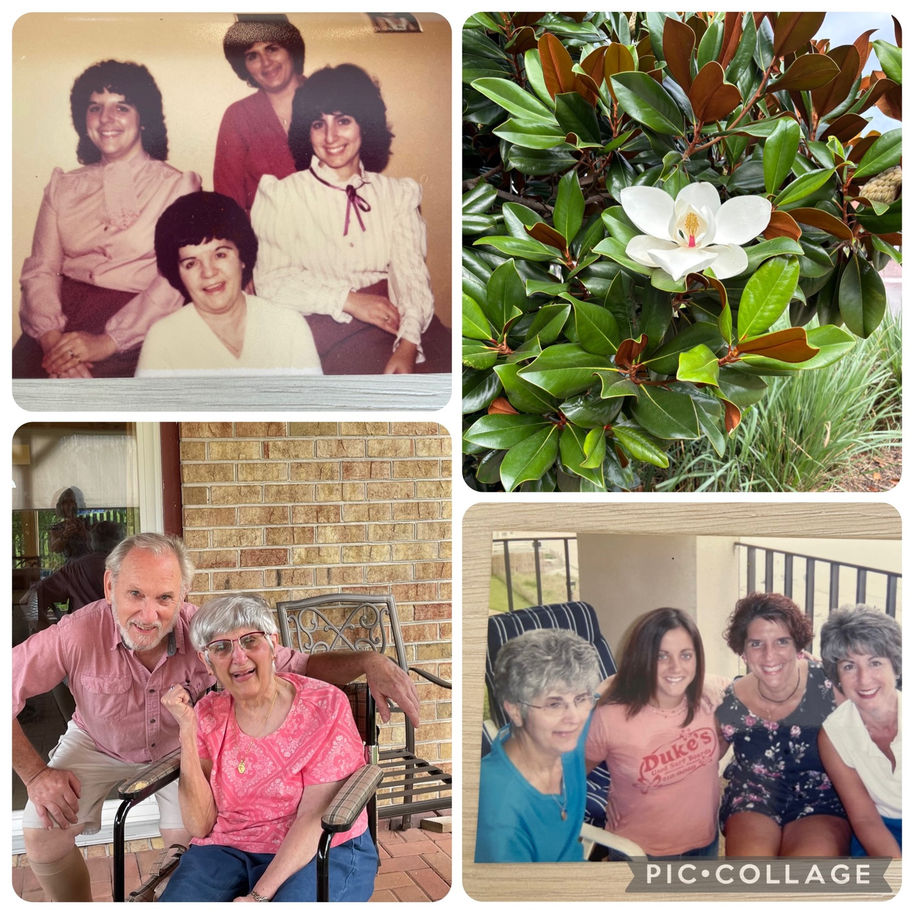 Obituary of Mary Ann Desimone