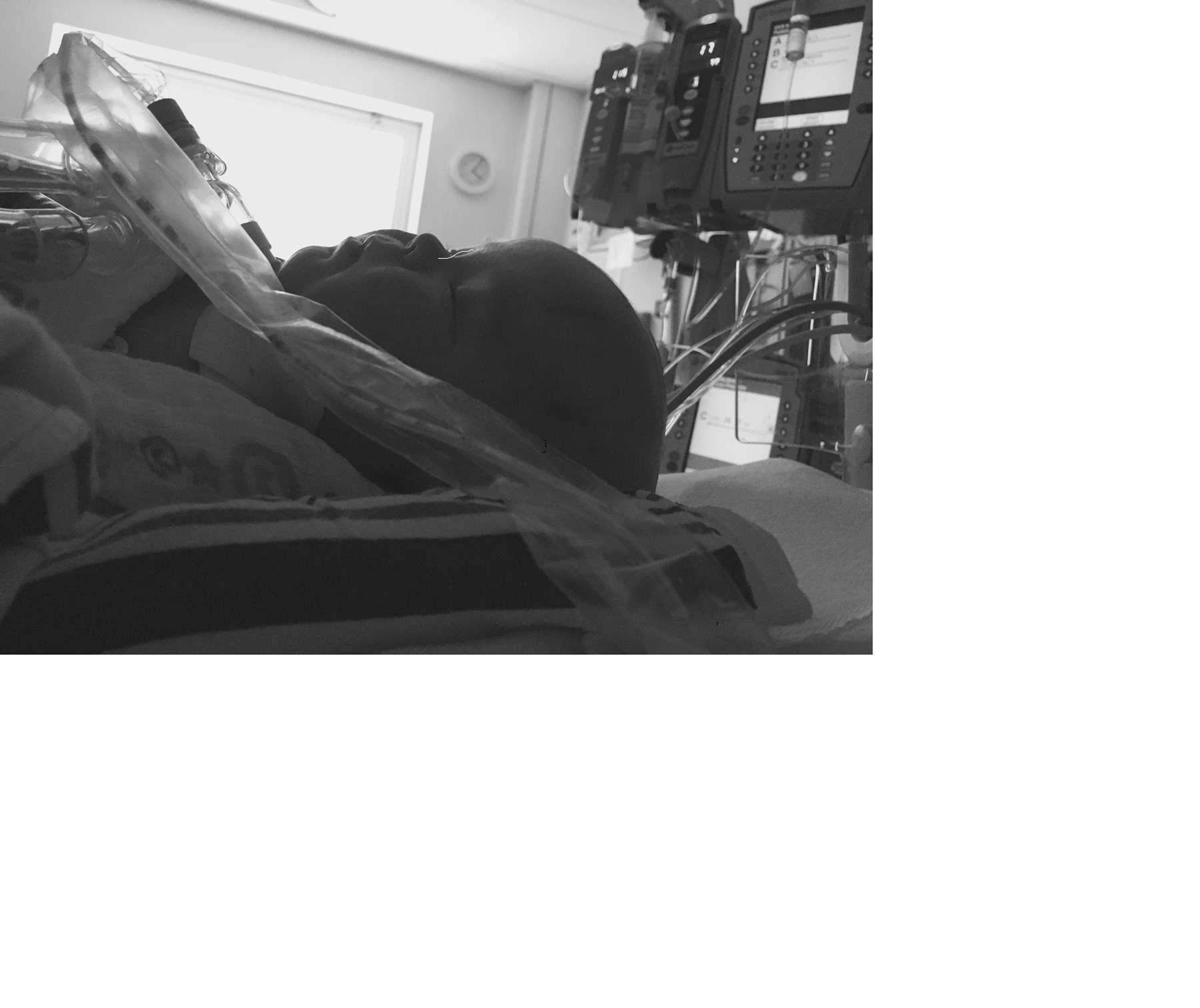 Obituary of Steven "Carter" Hamilton Parks