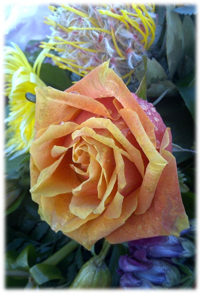 Obituario de Kim Wang Wong