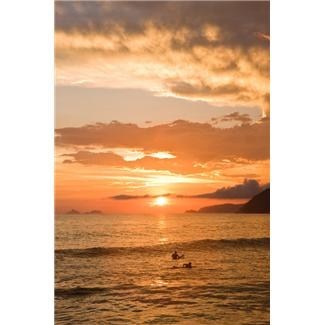 Obituary of Carol Massaro