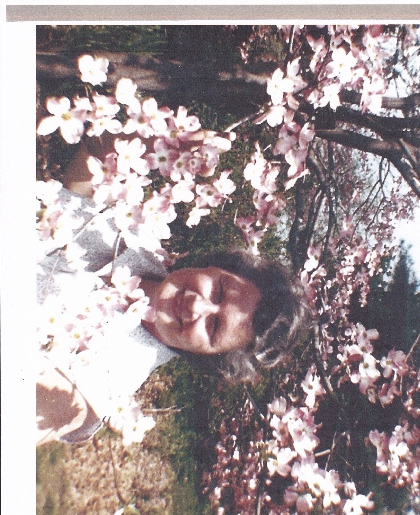 Obituary of Alice L. Wendel