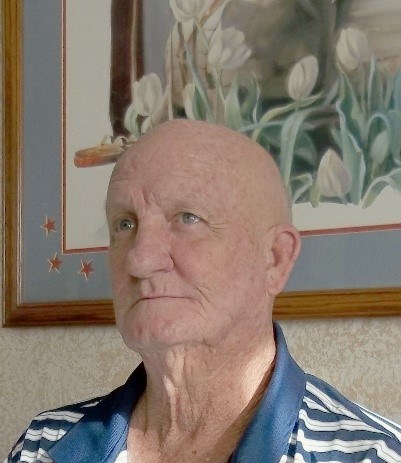 Obituary of David Arthur Snyder Jr.