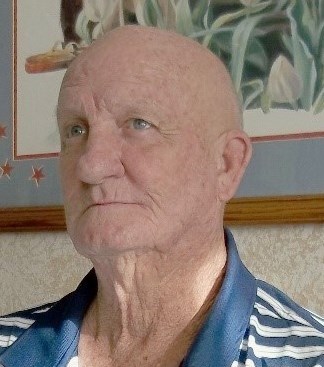 Obituary of David Arthur Snyder Jr.