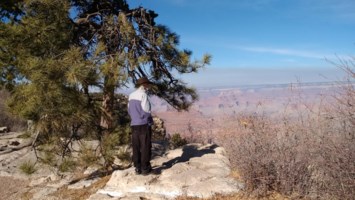 Avis de décès de Steve Kalman Farkas