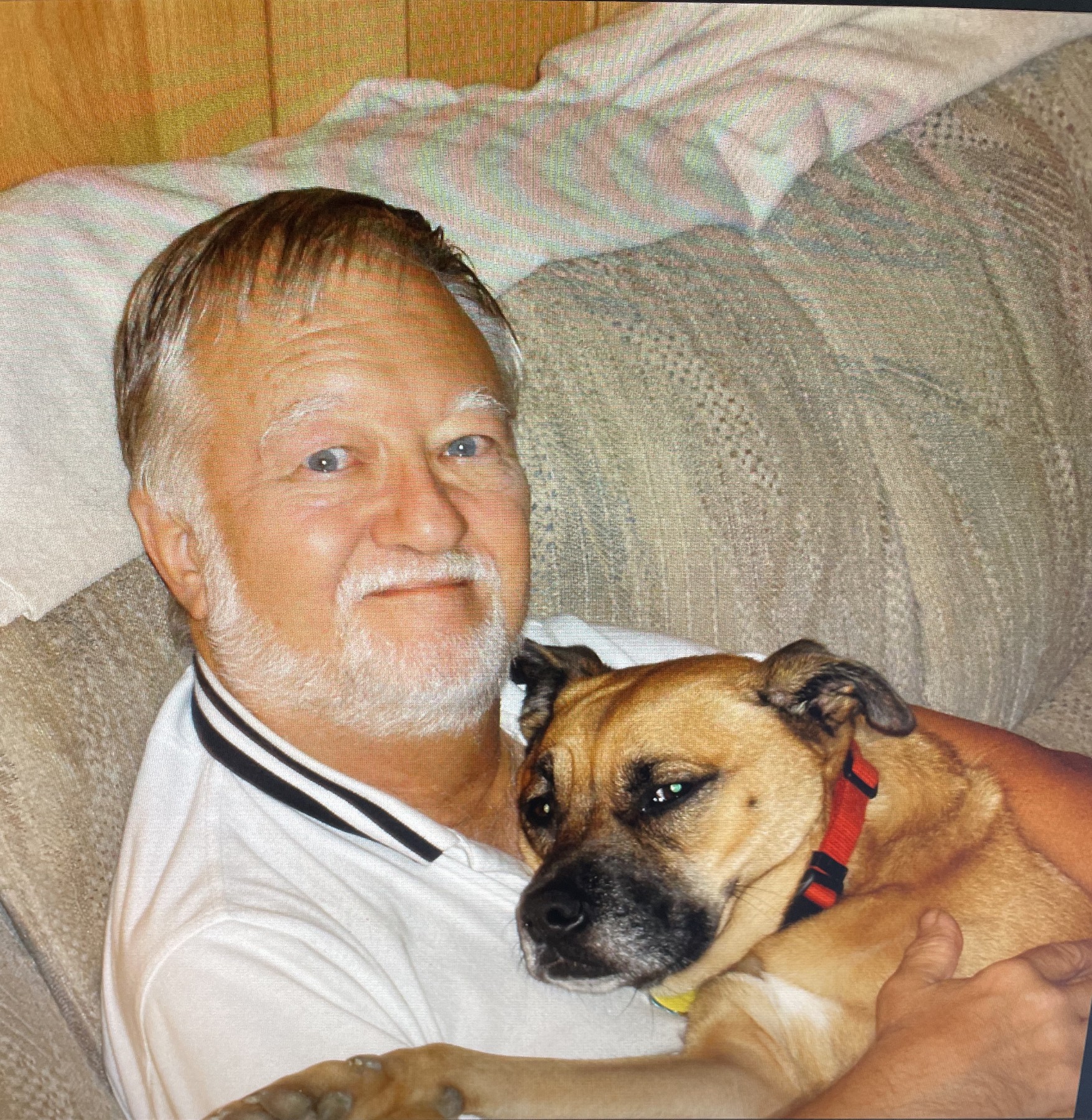 Obituary of Mr. Robert Leigh Mayhew