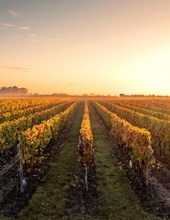 Obituary of Sammy N. "Sam" Fox