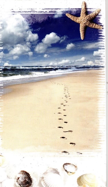 Obituary of Dorothy Hosie Crawford