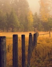 Obituary of Edmund Jackson Kughn