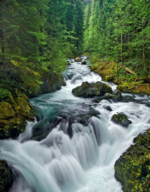 Obituary of Brian Christopher Kempkes