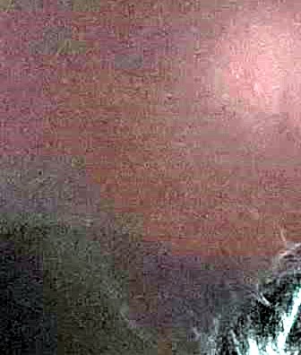 Sheila A Gipson Obituary Sarasota, FL