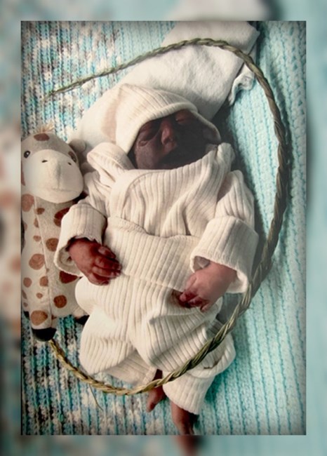 Obituary of Kira Owl-Chevrier