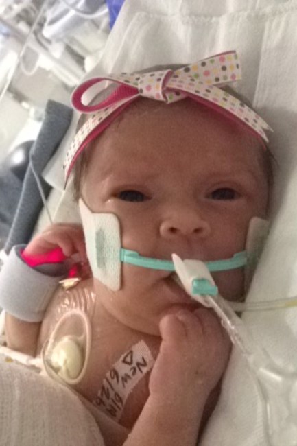 Obituary of Aliyah Gail Jolley