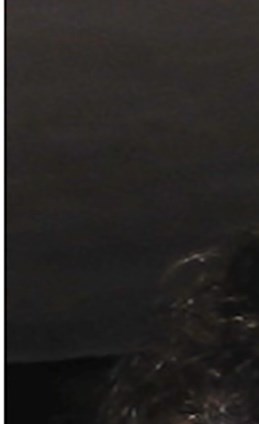 Jeanne Rudman Obituary - St. Louis, MO