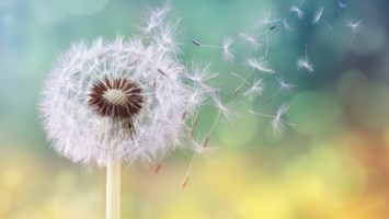 Obituary of Mary A McReynolds