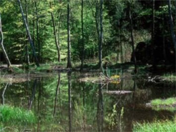 Obituary of Gerald A Brantley