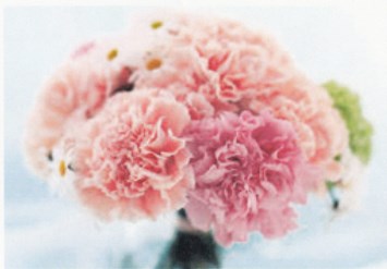 Obituary of Betty Mae Von Stein