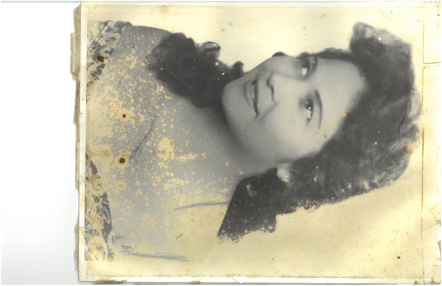 Obituary of Lina Ambrose