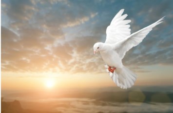 Obituary of Ramon Lopez