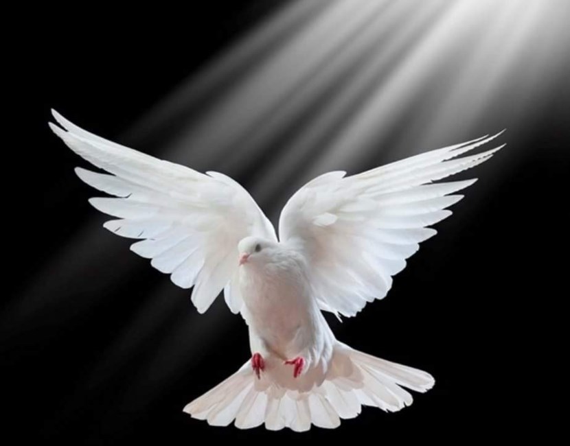 Obituary of Edward Earl Pickett III