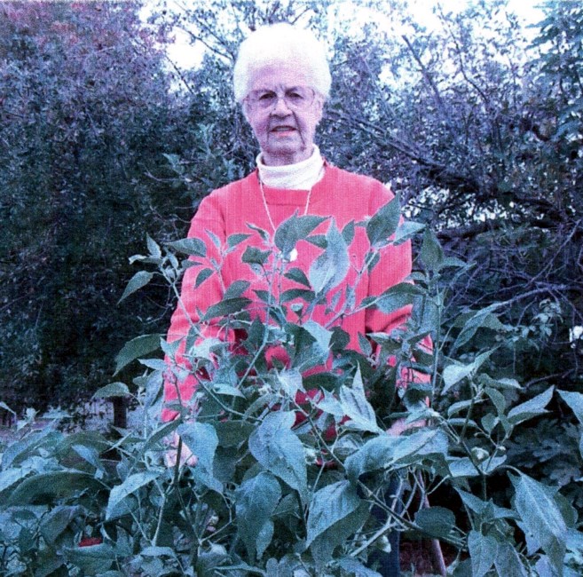 obituary image