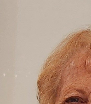 Diane C. Rhodes Obituary - Livonia, MI