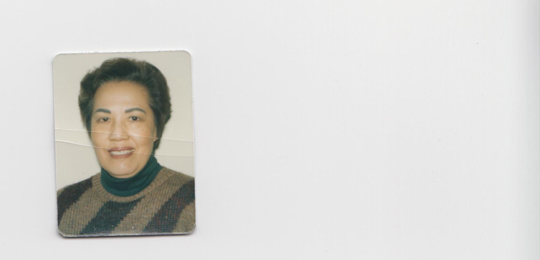 Obituary of Lien Bach Partik