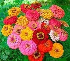 Obituary of Florence Joan Pelland