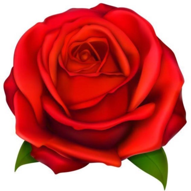 Obituary of Lillian Evelyn Webb