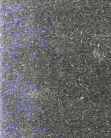 Francis Joseph Riegler Obituary - Reading, OH