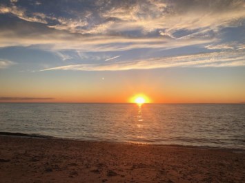 Obituary of Toby Spector-Cohen