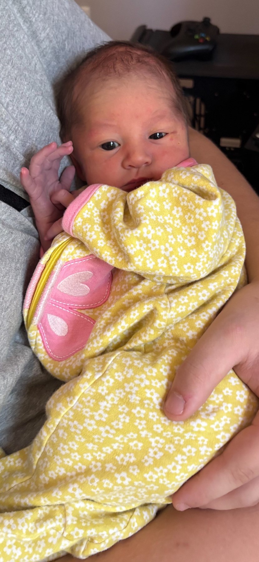 Obituary of Evelynn Rose Lowery