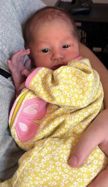 Obituary of Evelynn Rose Lowery