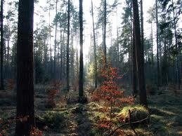 Obituary of Richard Reid