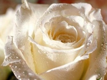 Obituary of Mary Belle Peters