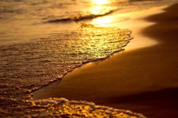 Obituary of Theresa Burke