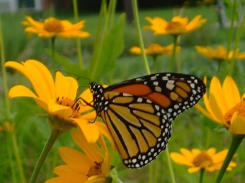 Obituary of Marilyn Passwater